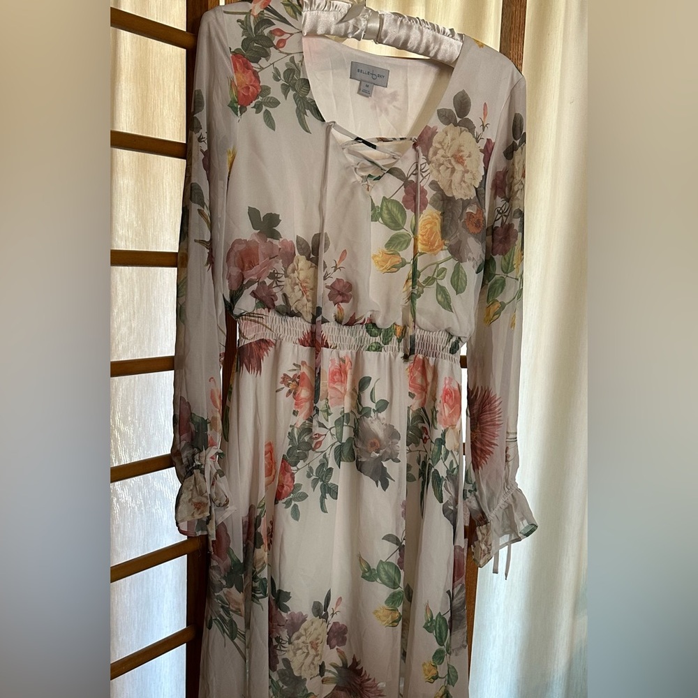 Belle and Sky Sheer Romantic Long Sleeves Elastic Shirred Waistband Maxi Dress